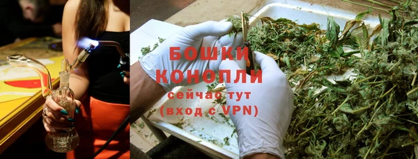 ГАЛЛЮЦИНОГЕННЫЕ ГРИБЫ Алексеевка