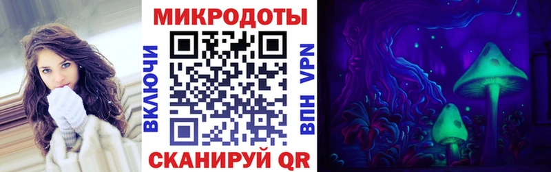 Галлюциногенные грибы Psilocybine cubensis  Трубчевск 